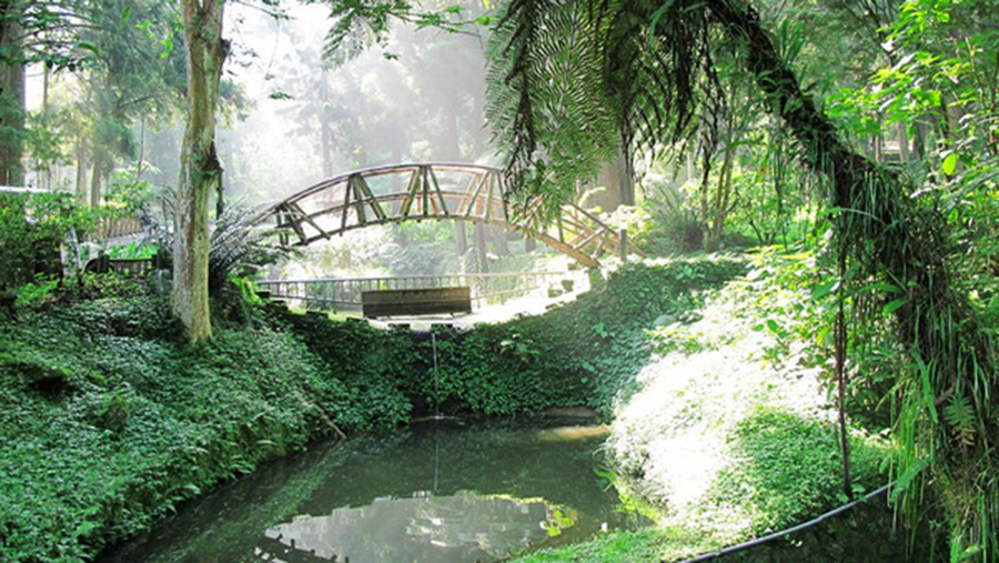 台湾游感想